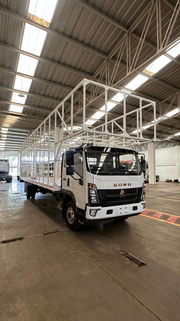 Howo Light Truck 8T