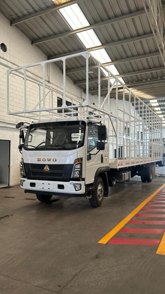 Howo Light Truck 8T